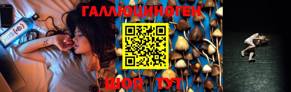 Галлюциногенные грибы MAGIC MUSHROOMS Усть-Джегута