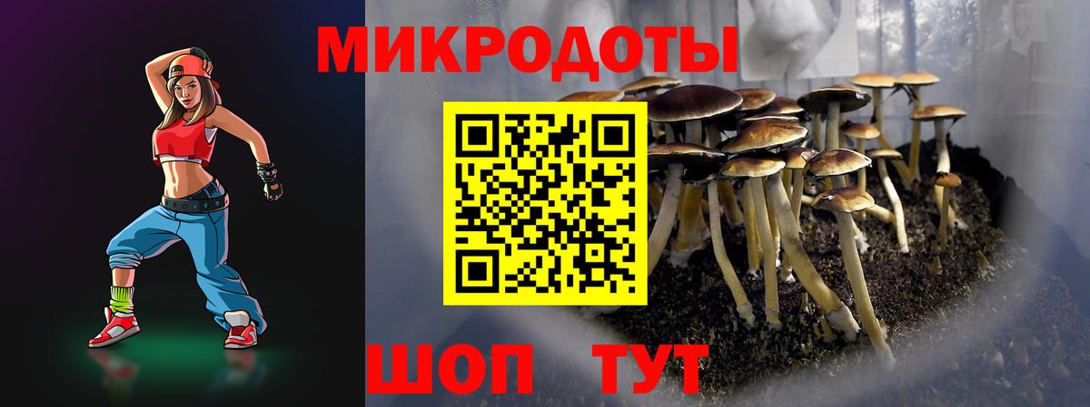 Галлюциногенные грибы мицелий  Галлюциногенные грибы Psilocybine cubensis  Усть-Джегута  Вход с VPN 